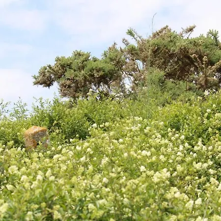 Ouest De La Pointe D'agon * آغون - كونتاينفيل