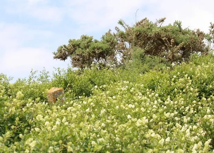 Ouest De La Pointe D'agon * Agon-Coutainville