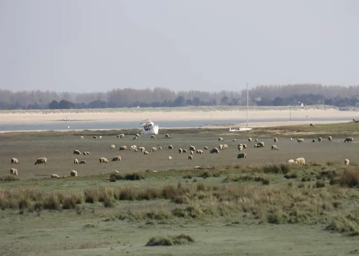 Ouest De La Pointe D'agon Agon-Coutainville