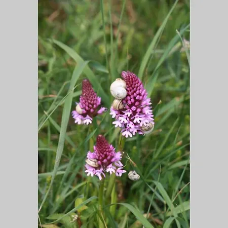 Ouest De La Pointe D'agon アゴン・クタンヴィル