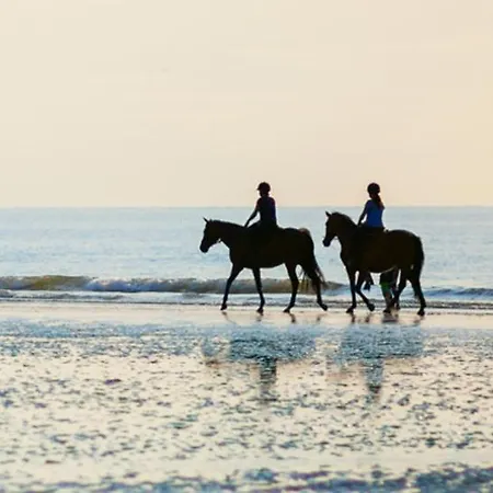 Ouest De La Pointe D'agon