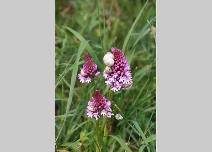 Ouest De La Pointe D'agon アゴン・クタンヴィル