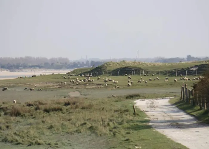 Ouest De La Pointe D'agon 別荘