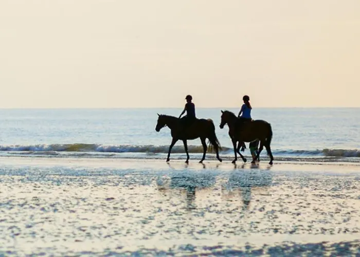 Ouest De La Pointe D'agon